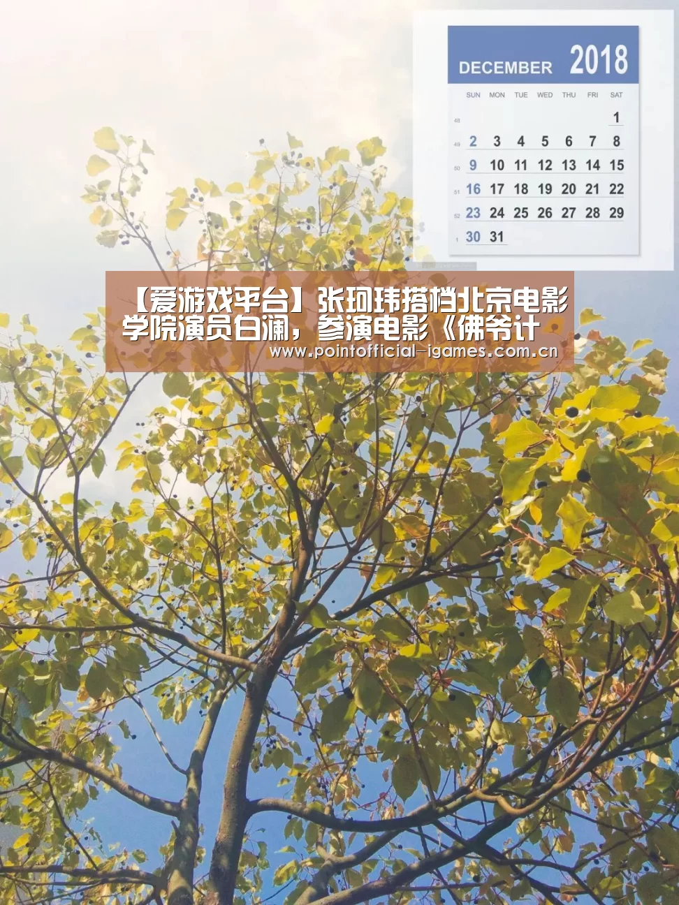 【爱游戏平台】张珂玮搭档北京电影学院演员白澜,参演电影《佛爷计划》(图3) 爱游戏下载
