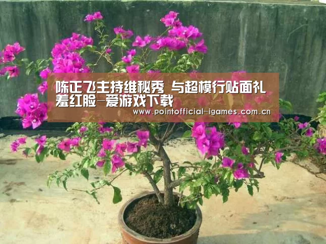 陈正飞主持维秘秀 与超模行贴面礼羞红脸-爱游戏下载(图4) 爱游戏下载