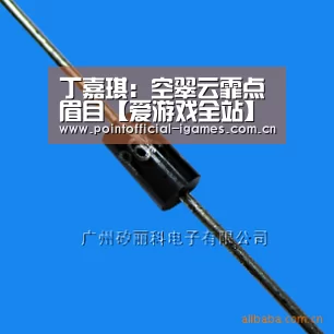 丁嘉琪:空翠云霏点眉目【爱游戏全站】(图3) 爱游戏入口