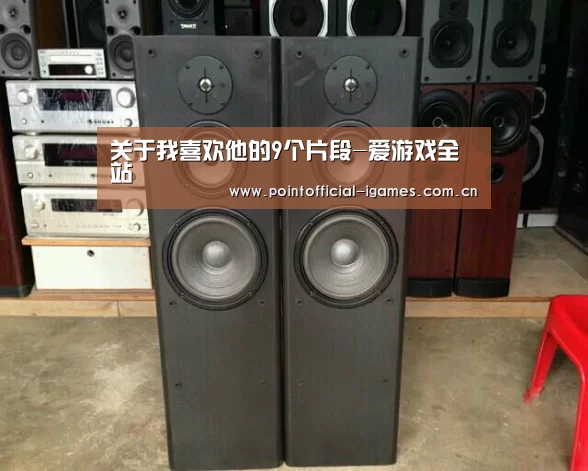 关于我喜欢他的9个片段-爱游戏全站(图4) 爱游戏下载