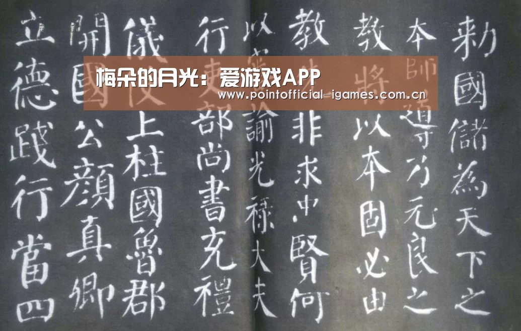 梅朵的月光:爱游戏APP(图1) 爱游戏APP